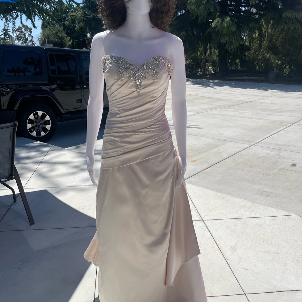 Couture Collection elegant Blush wedding dress - Picture 15 of 15